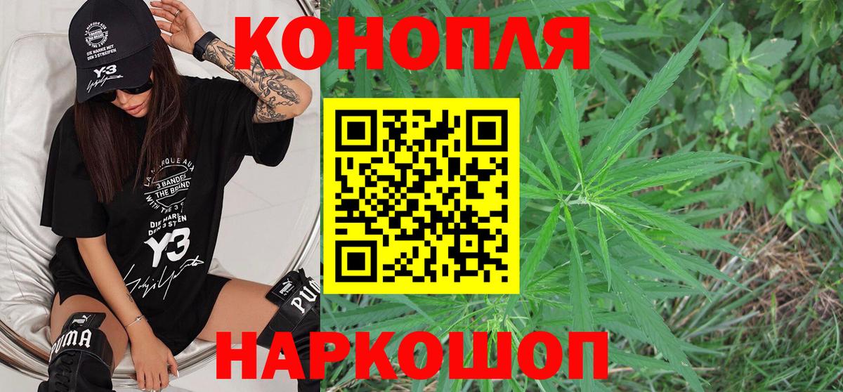 Канабис конопля Дмитров